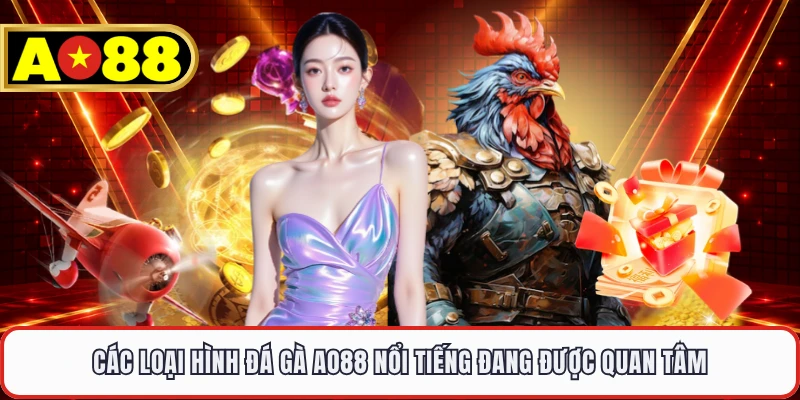 Các loại hình đá gà AO88 nổi tiếng đang được quan tâm