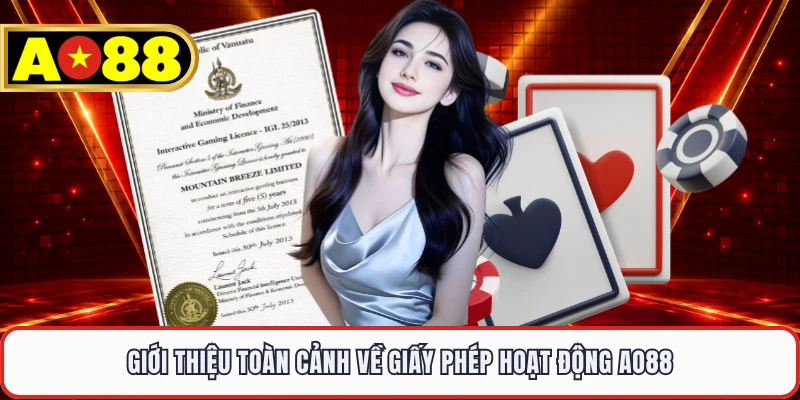 Giới thiệu toàn cảnh về giấy phép hoạt động AO88